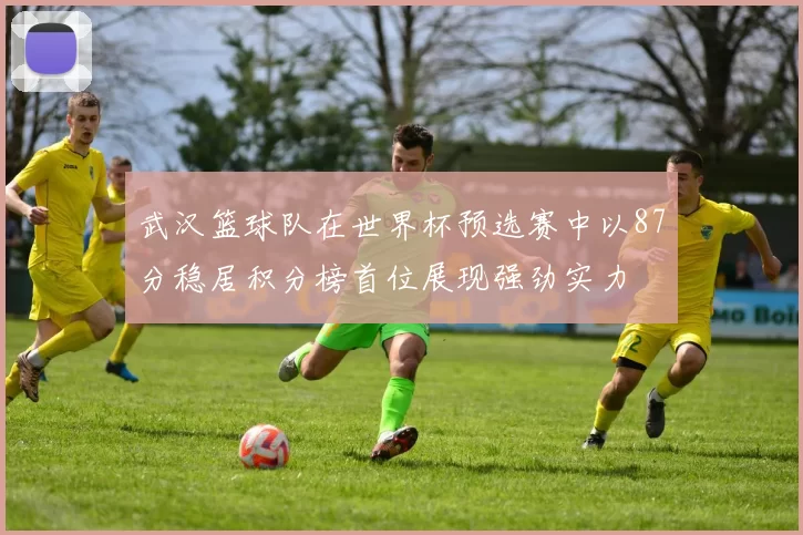 武汉篮球队在世界杯预选赛中以87分稳居积分榜首位展现强劲实力