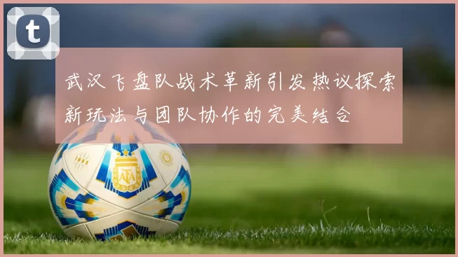 武汉飞盘队战术革新引发热议探索新玩法与团队协作的完美结合