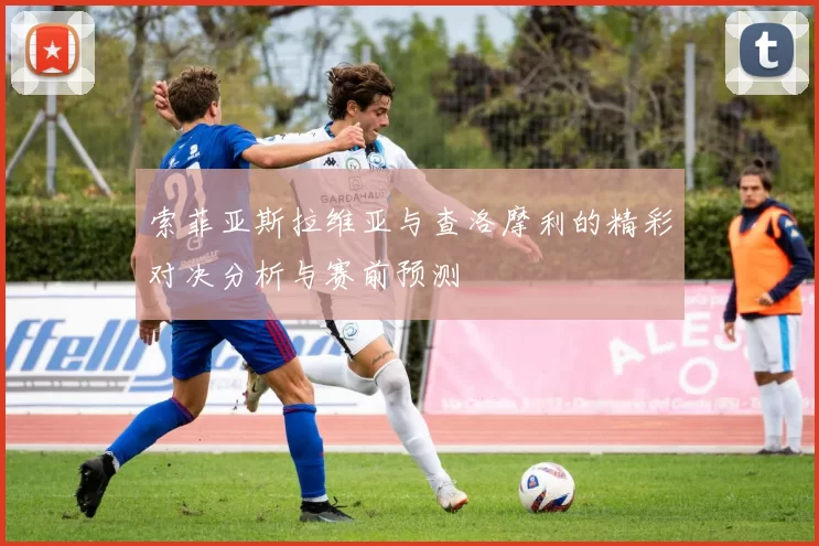 索菲亚斯拉维亚与查洛摩利的精彩对决分析与赛前预测