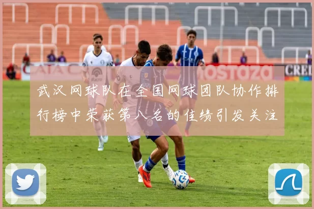 武汉网球队在全国网球团队协作排行榜中荣获第八名的佳绩引发关注