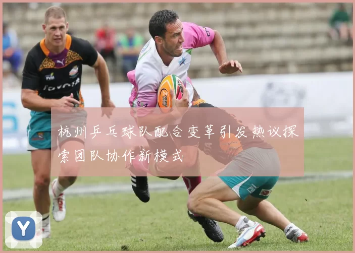 杭州乒乓球队配合变革引发热议探索团队协作新模式