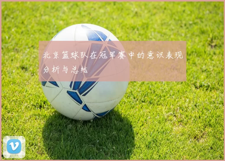 北京篮球队在冠军赛中的意识表现分析与总结